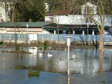 Kissingen-Hochwasser (6).JPG